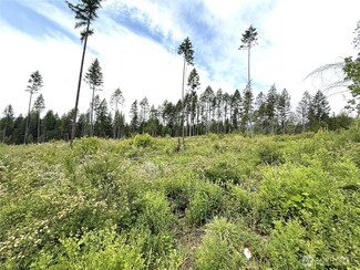 0 Lot 4 Rockabye Ln, Curlew, WA 99118