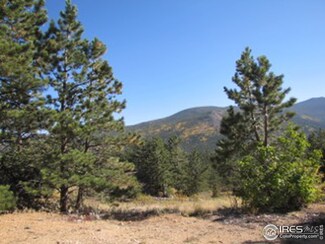 270 Ski Rd E, Allenspark, CO 80510