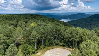 0 Farm Rd Unit 1517688, Guild, TN 37340