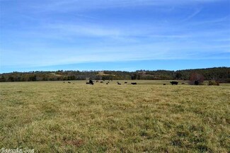 0 Alternative Rd Unit 17033125, Red River Township, AR 72650