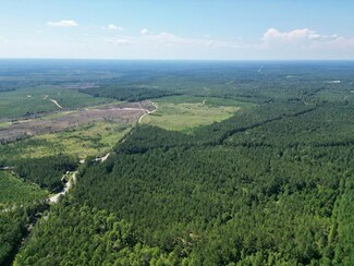 Nhn Gobbler Head Rd, Poplarville, MS 39470