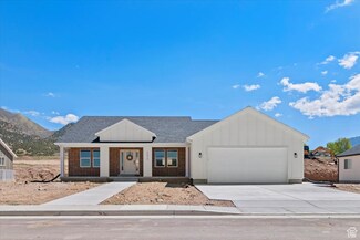 1570 N 300 E, Nephi, UT 84648