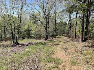 TBD Tract 8 N Chaparral Ln, Mena, AR 71953