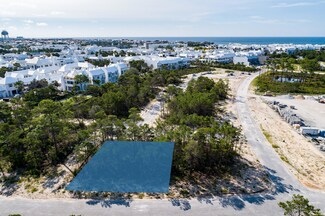 CC10 Longtail Rd, Alys Beach, FL 32461
