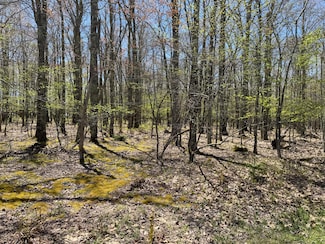 27 Hunters Ridge, Snowshoe, WV 26209
