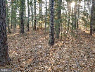 31573 Bruceville Rd, Trappe, MD 21673