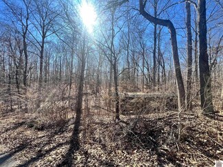 00 Ivy Dr Unit Lots 536 & 537, New Concord, KY 42076