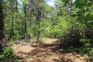 68 Grant County Rd, Sheridan, AR 72150