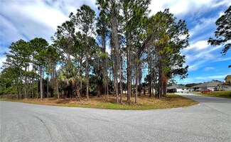 0 Tamarind Cir NW, Palm Bay, FL 32907
