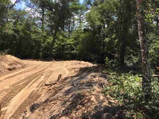 47253 Lost Tree Trail, Buxton, NC 27920