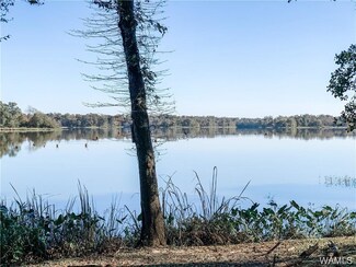 48 Cypress Point Ln, Akron, AL 35441