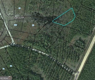 23 Hawks Way, Waynesville, GA 31566