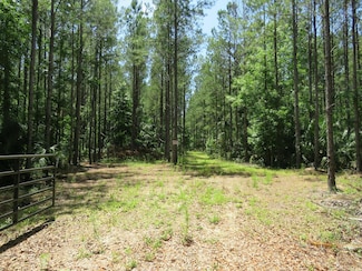 SE 5th Ave, Inglis, FL 34449