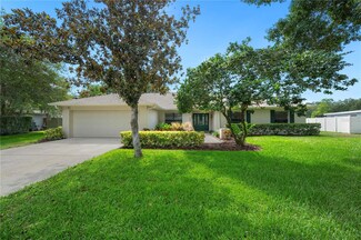 3407 Valley Ranch Dr, Lutz, FL 33548