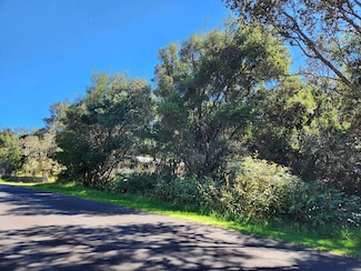 10 Painiu Loop, Volcano, HI 96785