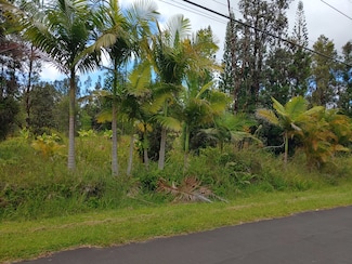 11-2806 Lehua St, Mountain View, HI 96771