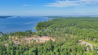 290 Rayburn Ridge, Pineland, TX 75968