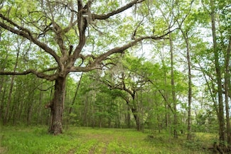 Lot 6 Marino Walk, Kingsland, GA 31548