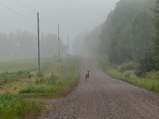 N2179 Schalk Rd, Ogema, WI 54459