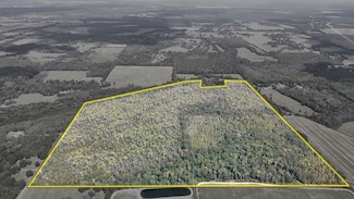 Unit Wp001, Oak Grove, LA 71263