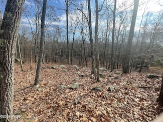 0 Morgan Ct, Blooming Grove Township, PA 18428