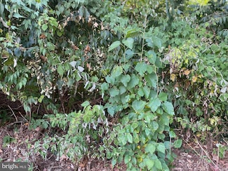 0 Woodfield Rd Unit MDMC2196320, Gaithersburg, MD 20882