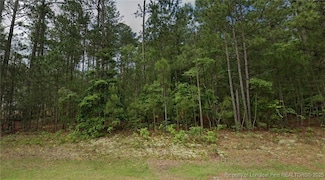 35 Peach Orchard Rd, Wagram, NC 28396