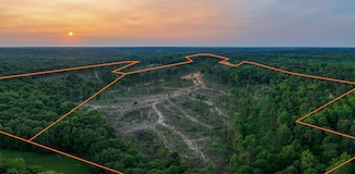 0 Chicken Rd, Dresden, TN 38225