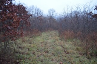 0 Ball Hill Dr, Ponce de Leon Township, MO 65669