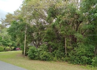 658 W Keller St, Citrus Hills, FL 34442