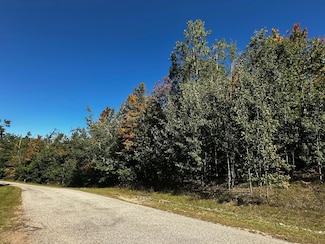 Lot 2 Lakeclub Dr, Bagley Township, MI 49735