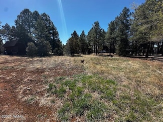 3036 Deer Trail, Pinetop-Lakeside, AZ 85929