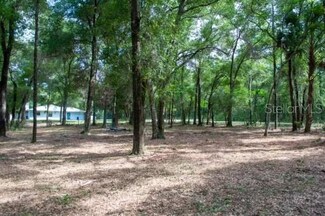 533/565 S Snapp Ave, Inverness, FL 34453