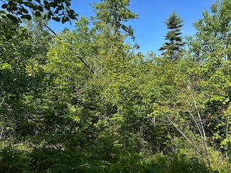 M4L19 Village Rd, Jackson, ME 04921
