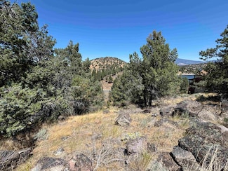 Unit 9-2 Lot 131 Elkridge Rd Unit 9-2, Weed, CA 96094