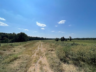 35.79 Acres Newman Rd, Scottsville, KY 42164