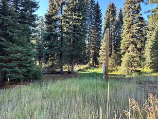 15 Andy Ln Unit 73, Donnelly, ID 83615