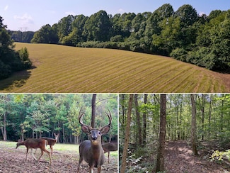 0 Wolf Hill Rd Unit 25469218, Mc Arthur, OH 45651