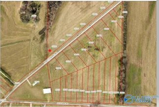20685 Piney Chapel Rd, Athens, AL 35614