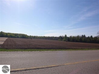 0 High Bridge Rd Unit 1848987, Kaleva, MI 49645