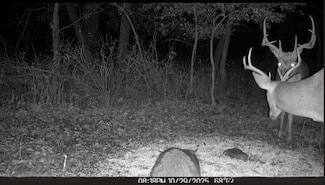 1013 2400th St, La Harpe, KS 66751