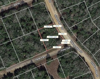 Lot 55 Hickory Ridge Dr, Hilltop Lakes, TX 77871