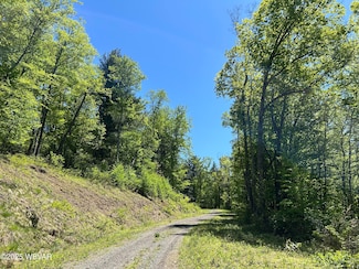 0 Tallman Hollow Rd Unit WB-101494, Upper Fairfield Township, PA 17754