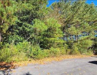 0 Scarlett Ln Unit 7601914, Rome, GA 30161