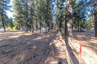 40 Tamarack Dr, Ronald, WA 98940