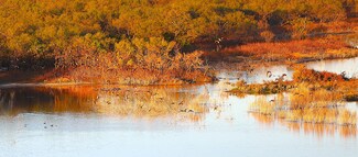 Cr 3388, Melvin, TX 76858