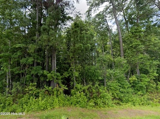 248 Rockpile Rd, Ahoskie, NC 27924