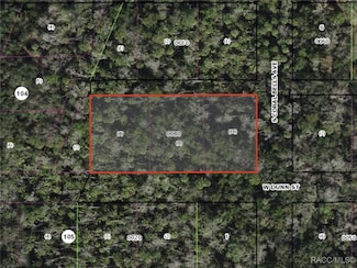 10427 W Robert Dunn Ct, Homosassa Springs, FL 34446
