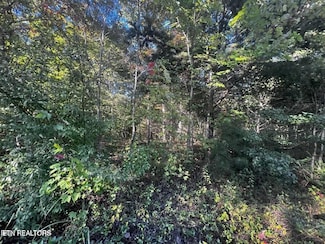 0 Falling Leaf Rd Unit 1321472, Jamestown, TN 38556