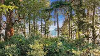 0 XXX Waterside Ln, Langley, WA 98260